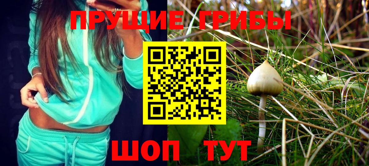 Галлюциногенные грибы Psilocybine cubensis  Вход с VPN  Белогорск 